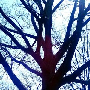 Meet your Posher, Gladis